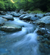 Creek of rolling water.
